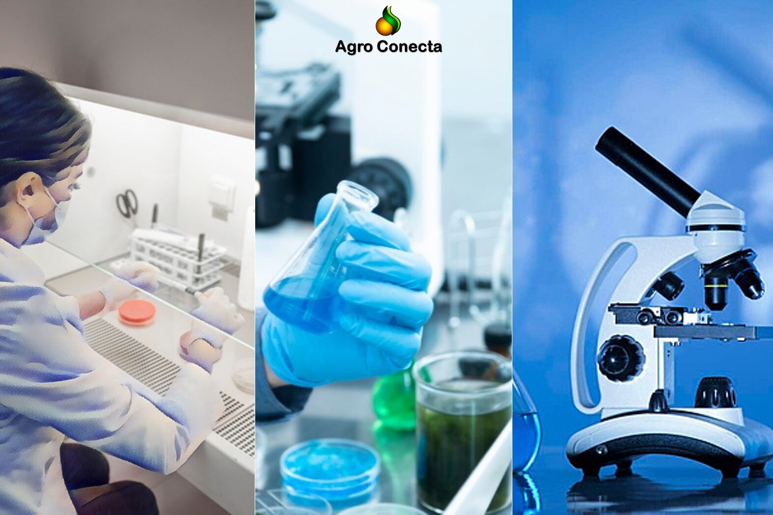 Agro Conecta - Laboratório de Biotecnologia em Goiânia GO